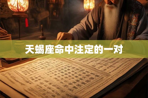 天蝎座命中注定的一对