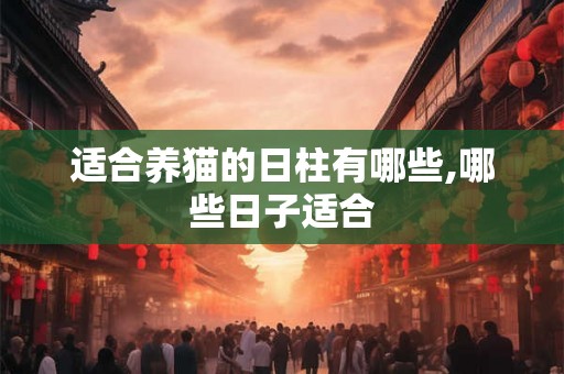 适合养猫的日柱有哪些,哪些日子适合