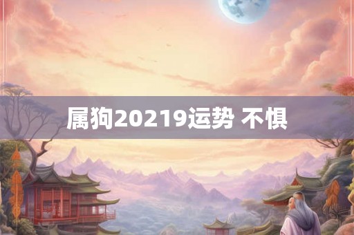 属狗20219运势 不惧