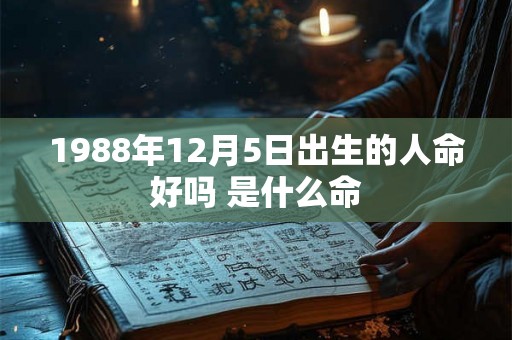 1988年12月5日出生的人命好吗 是什么命