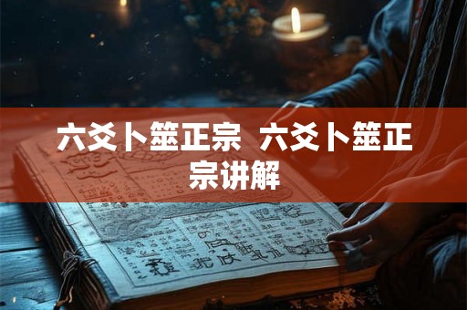六爻卜筮正宗  六爻卜筮正宗讲解