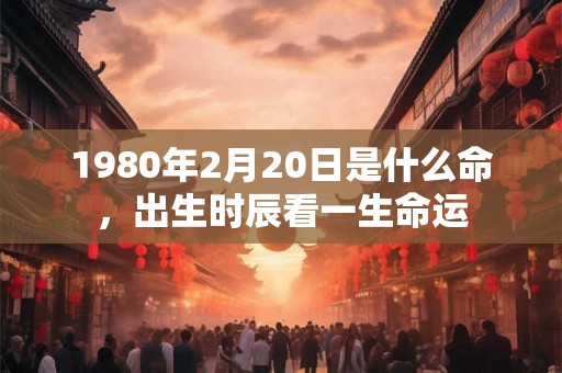 1980年2月20日是什么命，出生时辰看一生命运