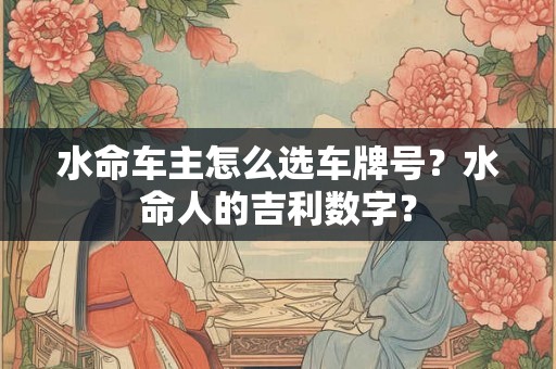 水命车主怎么选车牌号？水命人的吉利数字？