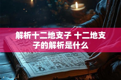 解析十二地支子 十二地支子的解析是什么