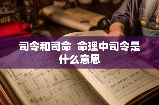 司令和司命 命理中司令是什么意思 司令和司命 命理中司令是什么意思