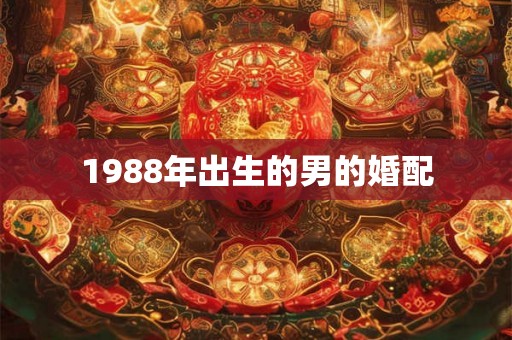 1988年出生的男的婚配