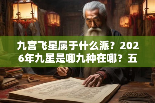 九宫飞星属于什么派？2026年九星是哪九种在哪？五行属什么？