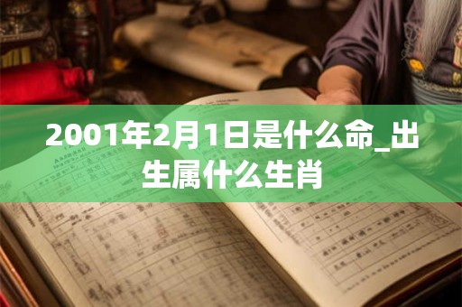 2001年2月1日是什么命_出生属什么生肖 2001年2月1日是什么命_出生属什么生肖