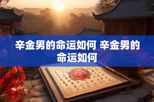 辛金男的命运如何 辛金男的命运如何