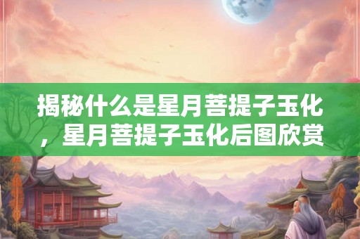 揭秘什么是星月菩提子玉化,星月菩提子玉化后图欣赏 揭秘什么是星月菩提子玉化,星月菩提子玉化后图欣赏