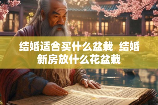 结婚适合买什么盆栽  结婚新房放什么花盆栽
