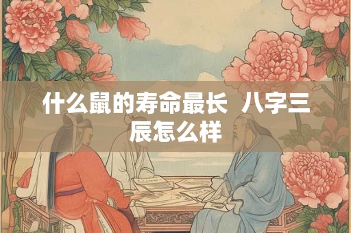 什么鼠的寿命最长  八字三辰怎么样