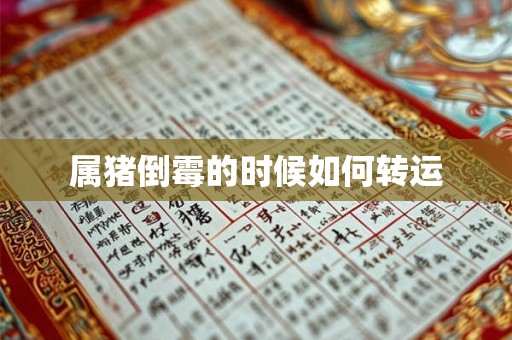属猪倒霉的时候如何转运