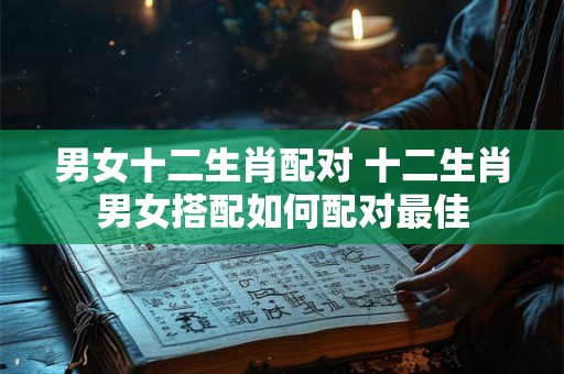 男女十二生肖配对 十二生肖男女搭配如何配对最佳
