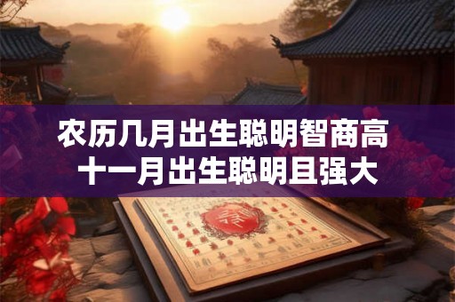 农历几月出生聪明智商高 十一月出生聪明且强大 农历几月出生聪明智商高 十一月出生聪明且强大