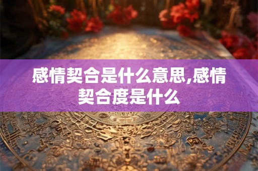 感情契合是什么意思,感情契合度是什么