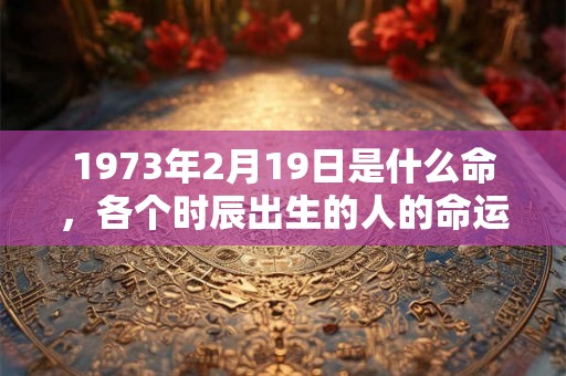 1973年2月19日是什么命，各个时辰出生的人的命运