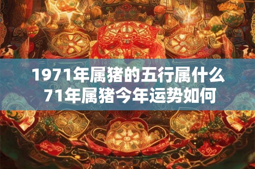 1971年属猪的五行属什么 71年属猪今年运势如何