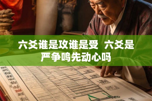六爻谁是攻谁是受  六爻是严争鸣先动心吗