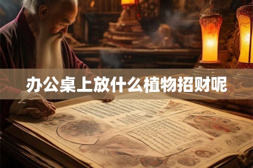 办公桌上放什么植物招财呢 办公桌上放什么植物招财呢