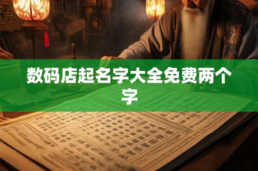 数码店起名字大全免费两个字 数码店起名字大全免费两个字