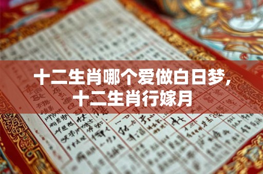 十二生肖哪个爱做白日梦,十二生肖行嫁月