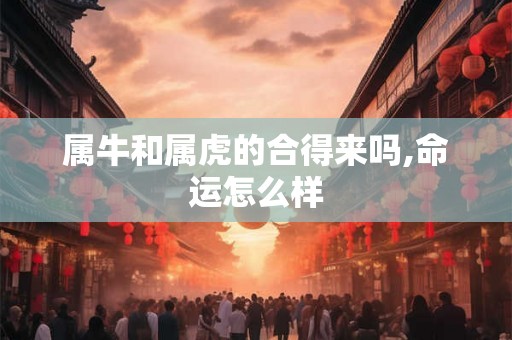 属牛和属虎的合得来吗,命运怎么样
