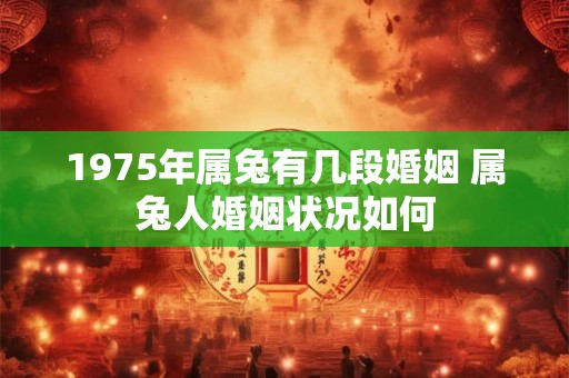 1975年属兔有几段婚姻 属兔人婚姻状况如何 1975年属兔有几段婚姻 属兔人婚姻状况如何
