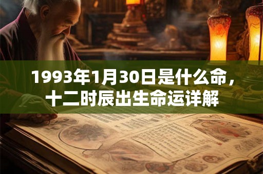 1993年1月30日是什么命，十二时辰出生命运详解