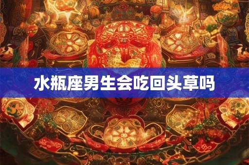 水瓶座男生会吃回头草吗