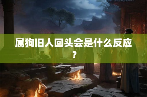 属狗旧人回头会是什么反应? 属狗旧人回头会是什么反应?