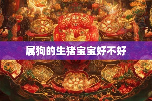 属狗的生猪宝宝好不好