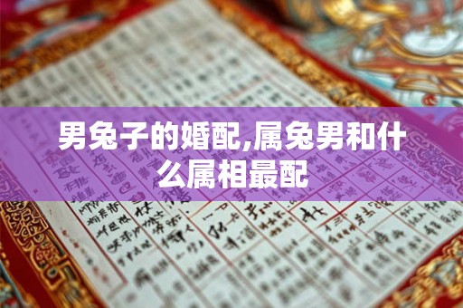 男兔子的婚配,属兔男和什么属相最配