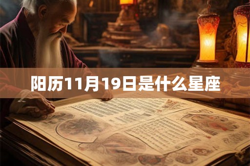 阳历11月19日是什么星座
