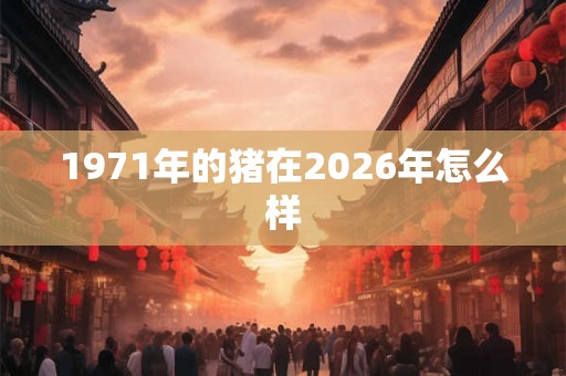 1971年的猪在2026年怎么样