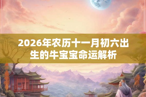 2026年农历十一月初六出生的牛宝宝命运解析