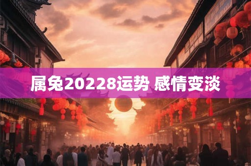 属兔20228运势 感情变淡