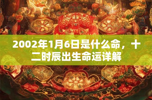 2002年1月6日是什么命，十二时辰出生命运详解