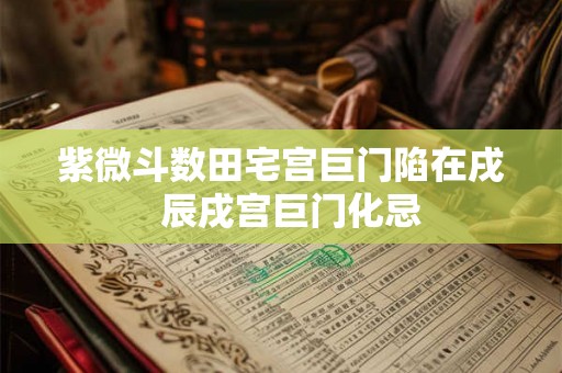 紫微斗数田宅宫巨门陷在戌 辰戌宫巨门化忌 紫微斗数田宅宫巨门陷在戌 辰戌宫巨门化忌