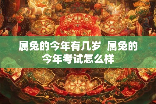 属兔的今年有几岁  属兔的今年考试怎么样
