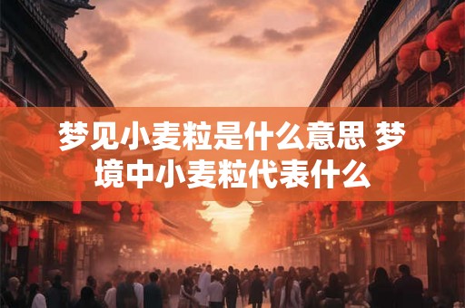 梦见小麦粒是什么意思 梦境中小麦粒代表什么 梦见小麦粒是什么意思 梦境中小麦粒代表什么