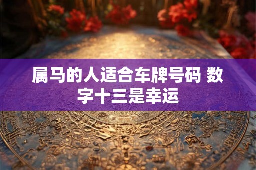 属马的人适合车牌号码 数字十三是幸运