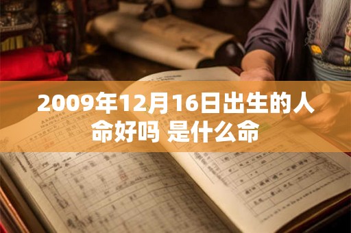 2009年12月16日出生的人命好吗 是什么命