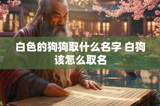 白色的狗狗取什么名字 白狗该怎么取名