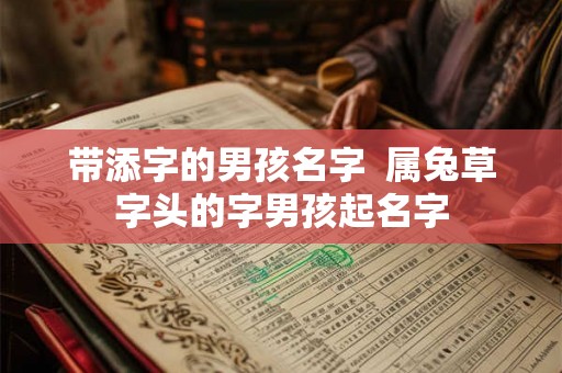 带添字的男孩名字  属兔草字头的字男孩起名字