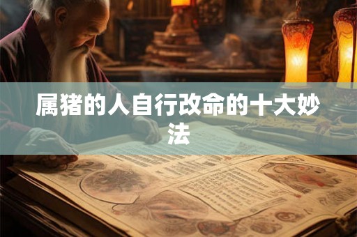 属猪的人自行改命的十大妙法