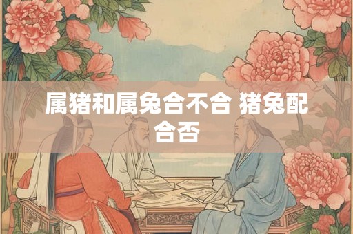 属猪和属兔合不合 猪兔配合否