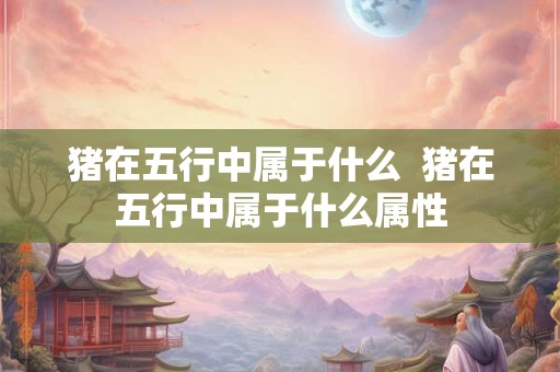 猪在五行中属于什么 猪在五行中属于什么属性 猪在五行中属于什么 猪在五行中属于什么属性