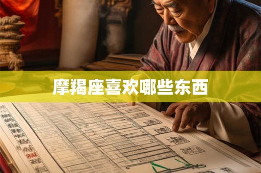 摩羯座喜欢哪些东西
