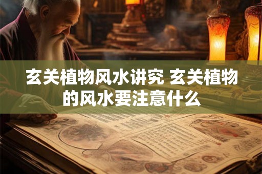 玄关植物风水讲究 玄关植物的风水要注意什么